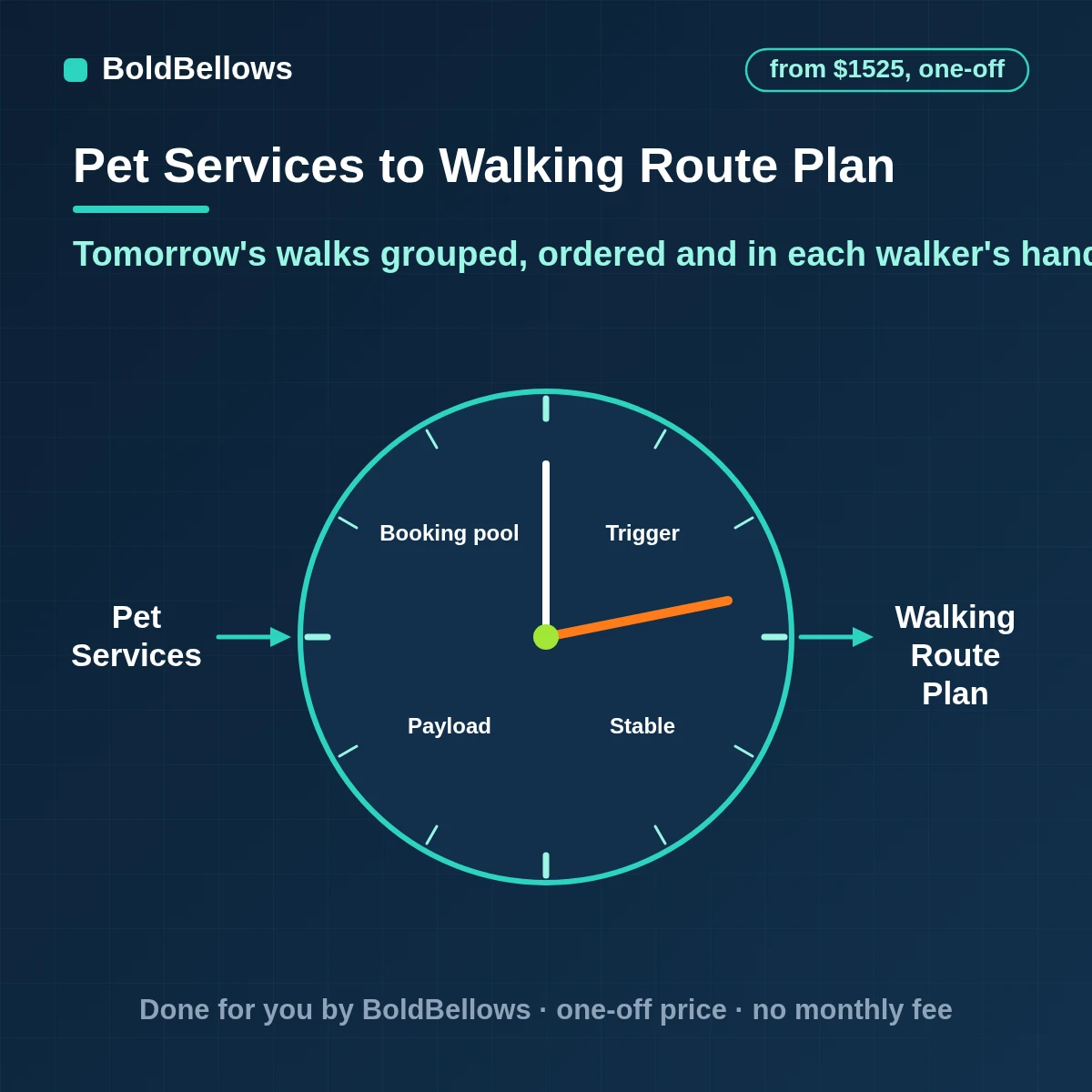Dog walking route and schedule automation that groups bookings by area and time window, orders stops, applies group limits and redraws the route, built by BoldBellows