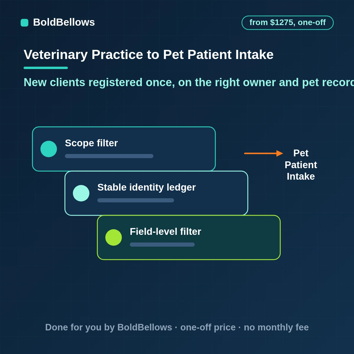 Veterinary patient intake automation with a digital form, owner and pet records matched before anything is created, duplicates flagged for staff and a prior-clinic records request started, built by BoldBellows